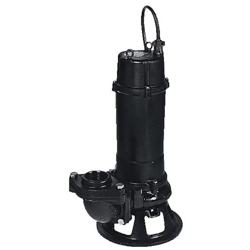Tsurumi Pump Image 50B275H